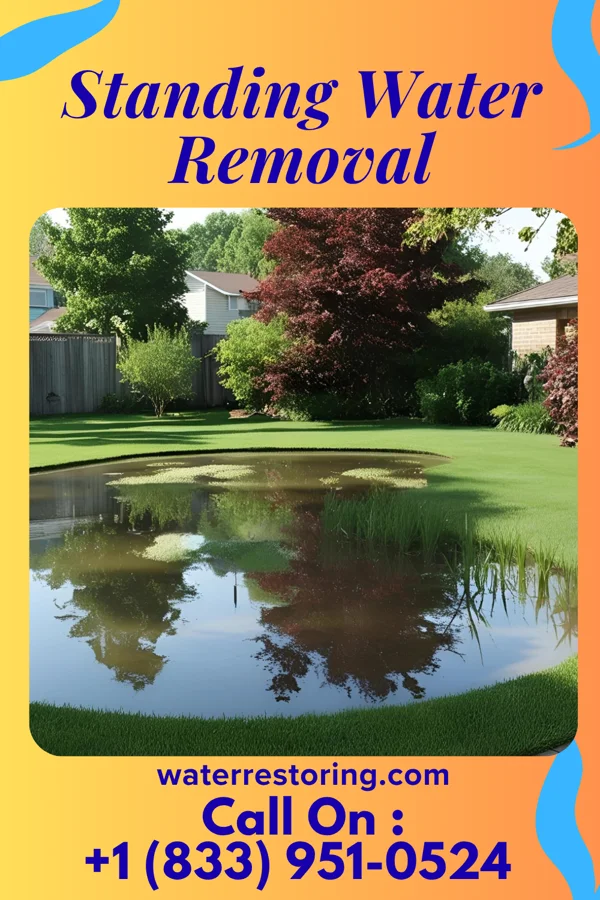 Standing Water Removal in Church Point, LA